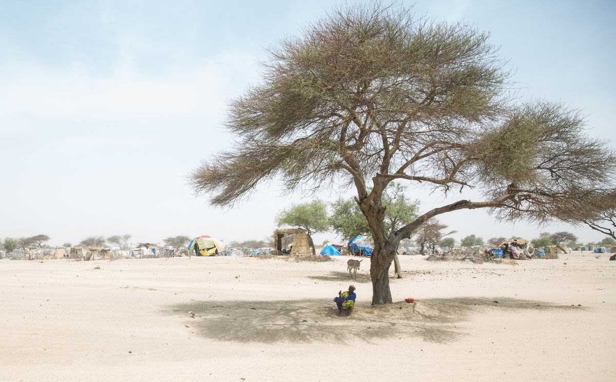 Individual sitting under a tree