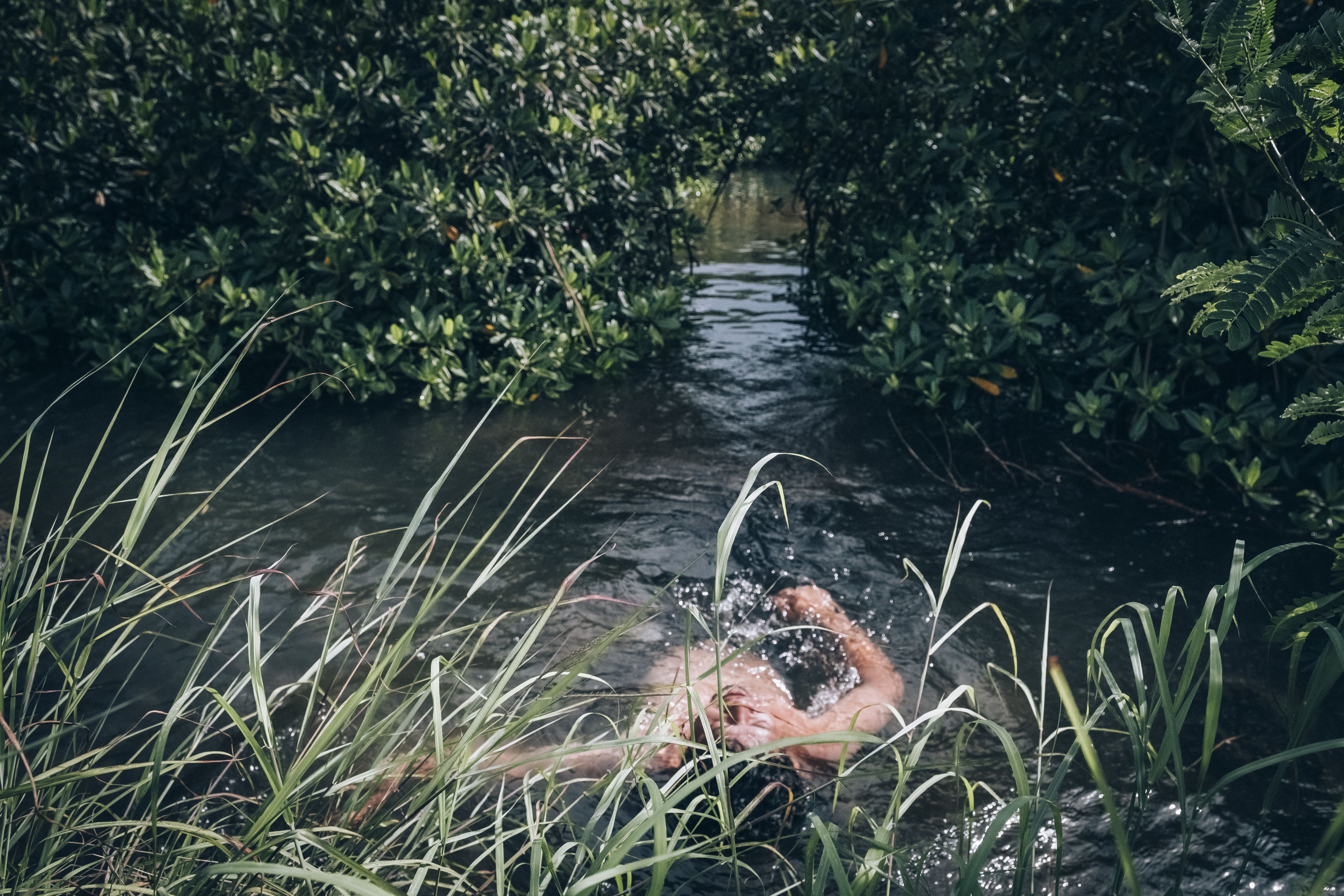 Man swimming backstroke in dense green waterway