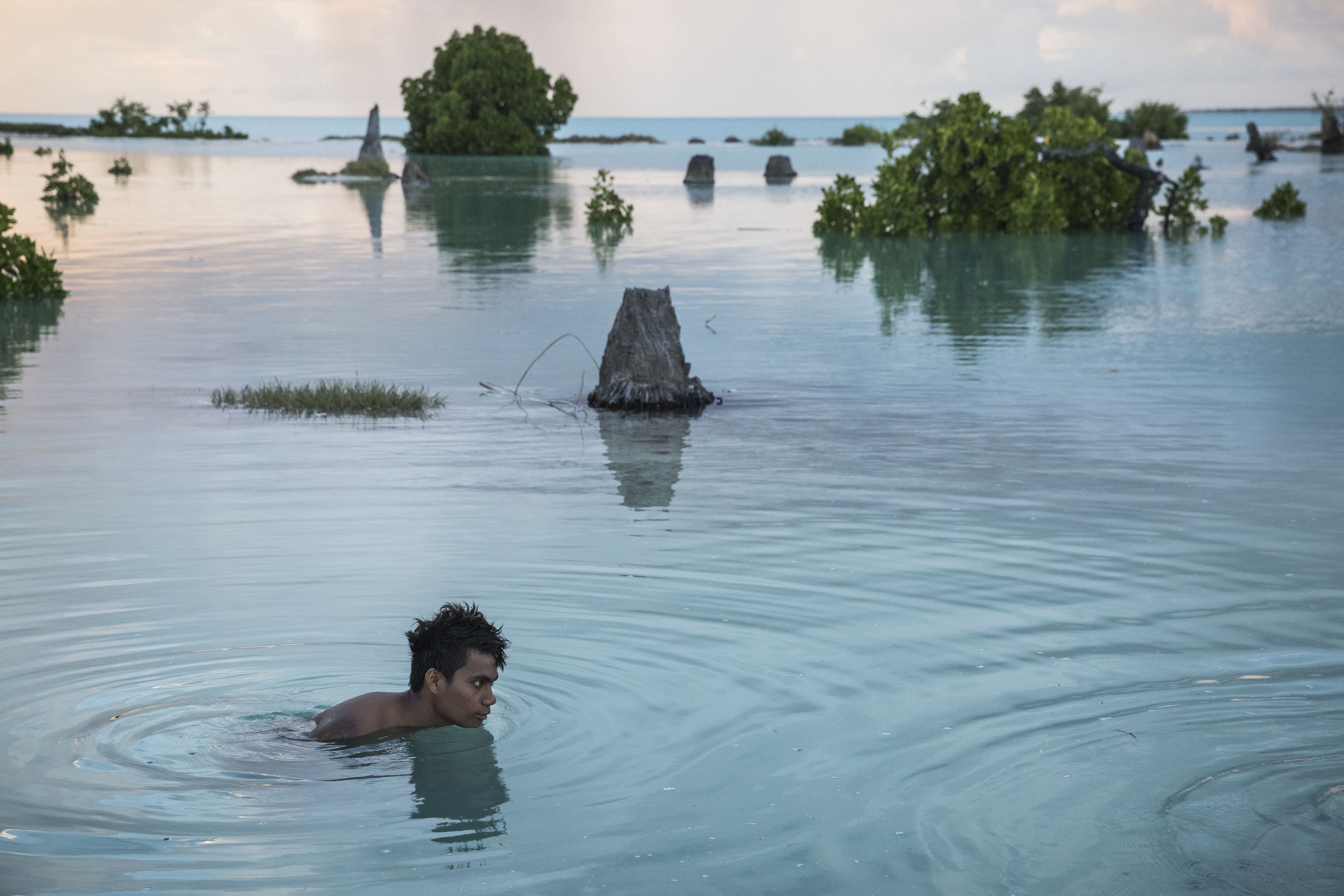 Man swimming in calm Pacific waters